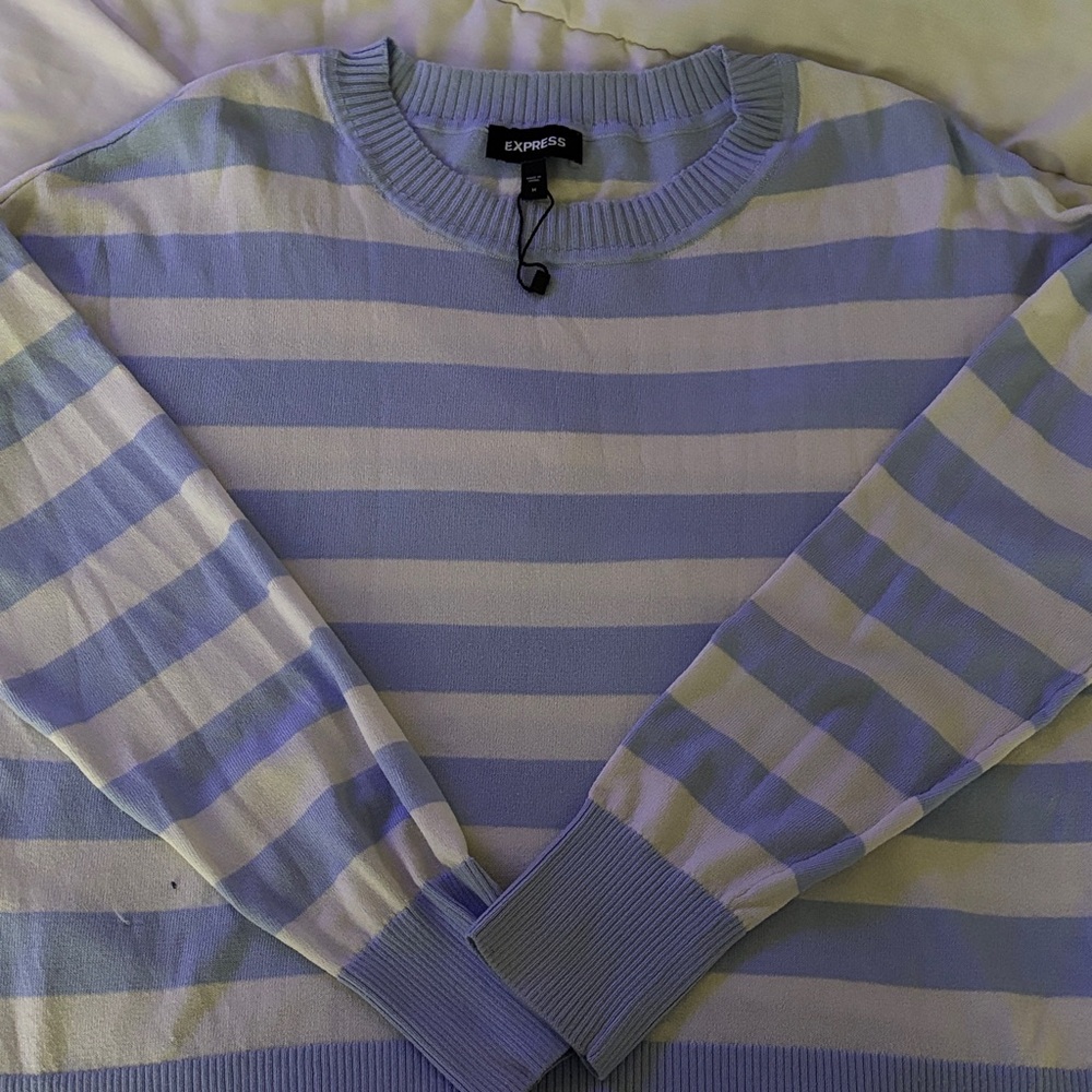 Express women’s light weight sweater  l Blue and White Striped Sweater
